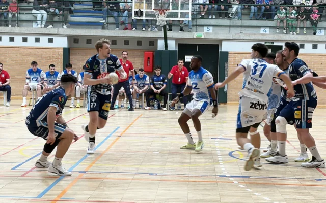 El Trops Málaga pierde ante el Zaragoza, rival directo por la salvación (28-29)